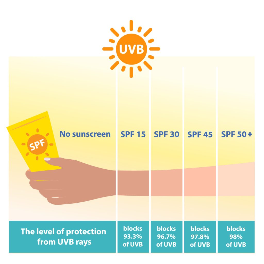 the different levels of spf sunscreen protect uvb rays on white background comparison of arm skin tone with the level of sun protection factor sunscreen skin care and beauty concept vector